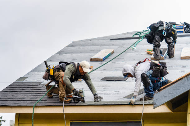 Professional Storm Damage Roof Repair technician working in Bellona, NY